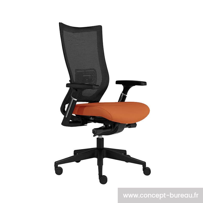 Chaise ergonomique de bureau pour mal de dos – UP & DESK